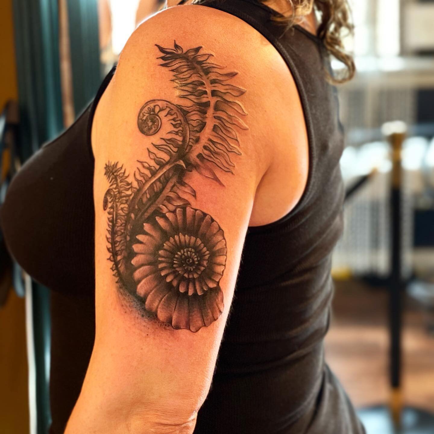 Who doesn&rsquo;t love ferns?!
&bull;
#worldfamousmonkeyhousecustoms #inked #tattoos #tattooed #fern #ferntattoo #vermont #gostowe #stowe #stowevt #vermontbyvermonters #vermontlife #armtattoo #blackandgreytattoo #ferns #ferntattoo