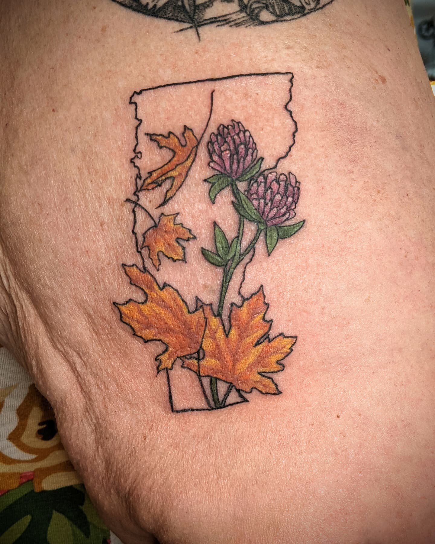 Tribute to VT before moving away💕

#colortattoo #naturetattoo #tattooinspiration #vermonttattooartist #vttattoo #vermontartist #vermonttattooers #vermonttattoo #stowevt