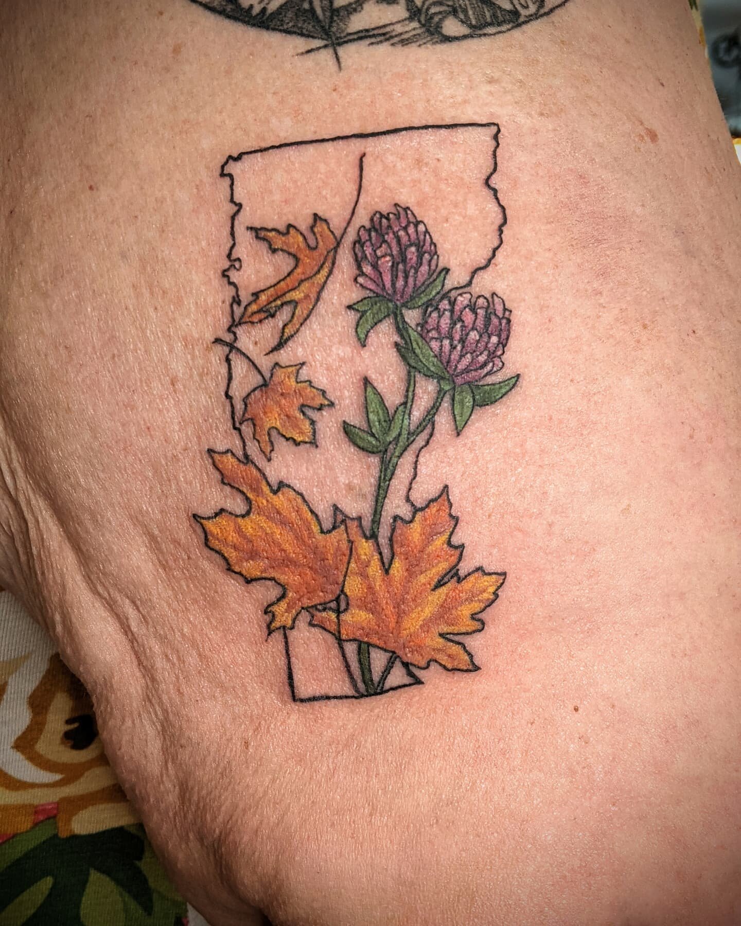 Tribute to VT before moving away💕

#colortattoo #naturetattoo #tattooinspiration #vermonttattooartist #vttattoo #vermontartist #vermonttattooers #vermonttattoo #stowevt