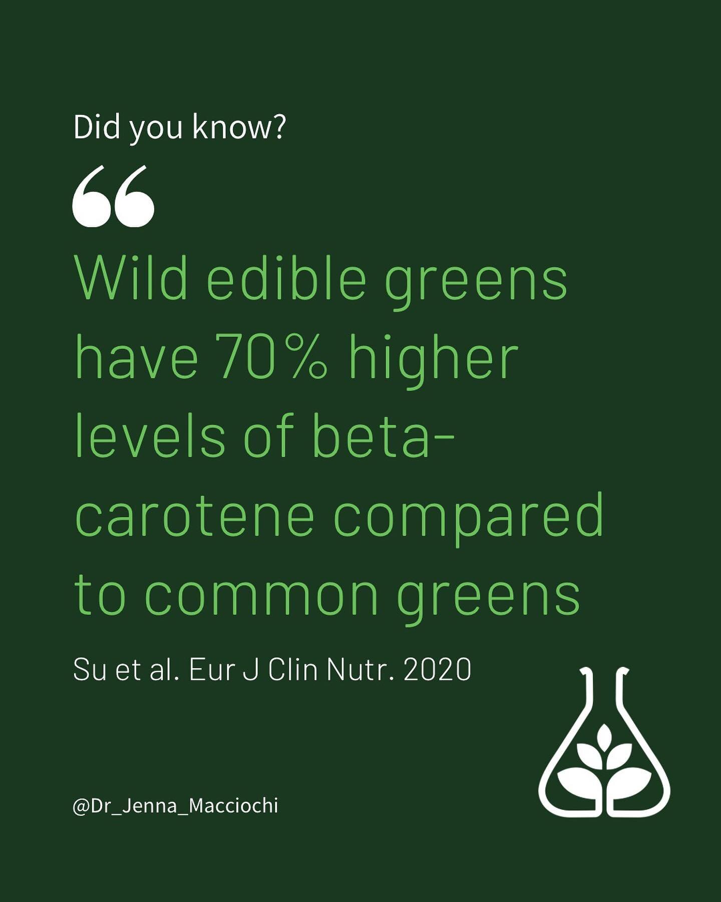 🌱 Bored of the same old plants on your plate? 

🌱 Have you ever considered eating wild greens? 

🌱 Devoid of fertilisers and pesticides, and higher phytonutrient content, they can be a good (and free) way to up your plant point 

🌱 Let me know yo