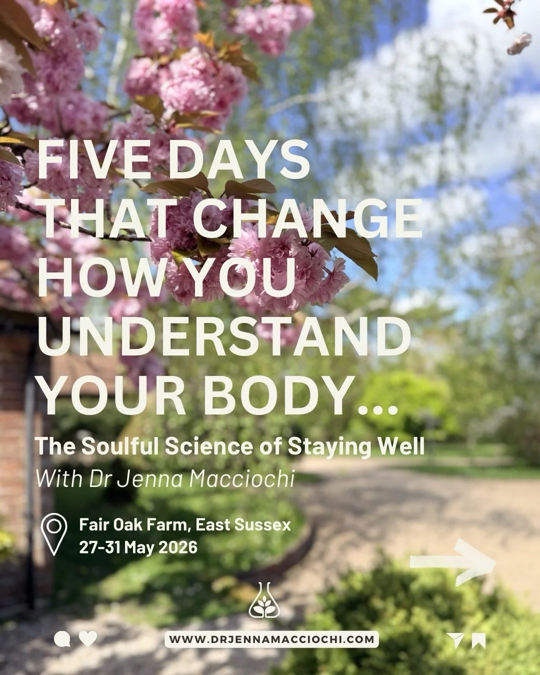 5 days that change how you understand your body&hellip; for good.

Not more information.
Not another protocol.

This is about experience.

Bringing to life the philosophy behind my work and woven into my book Immune to Age coming out in paperback May
