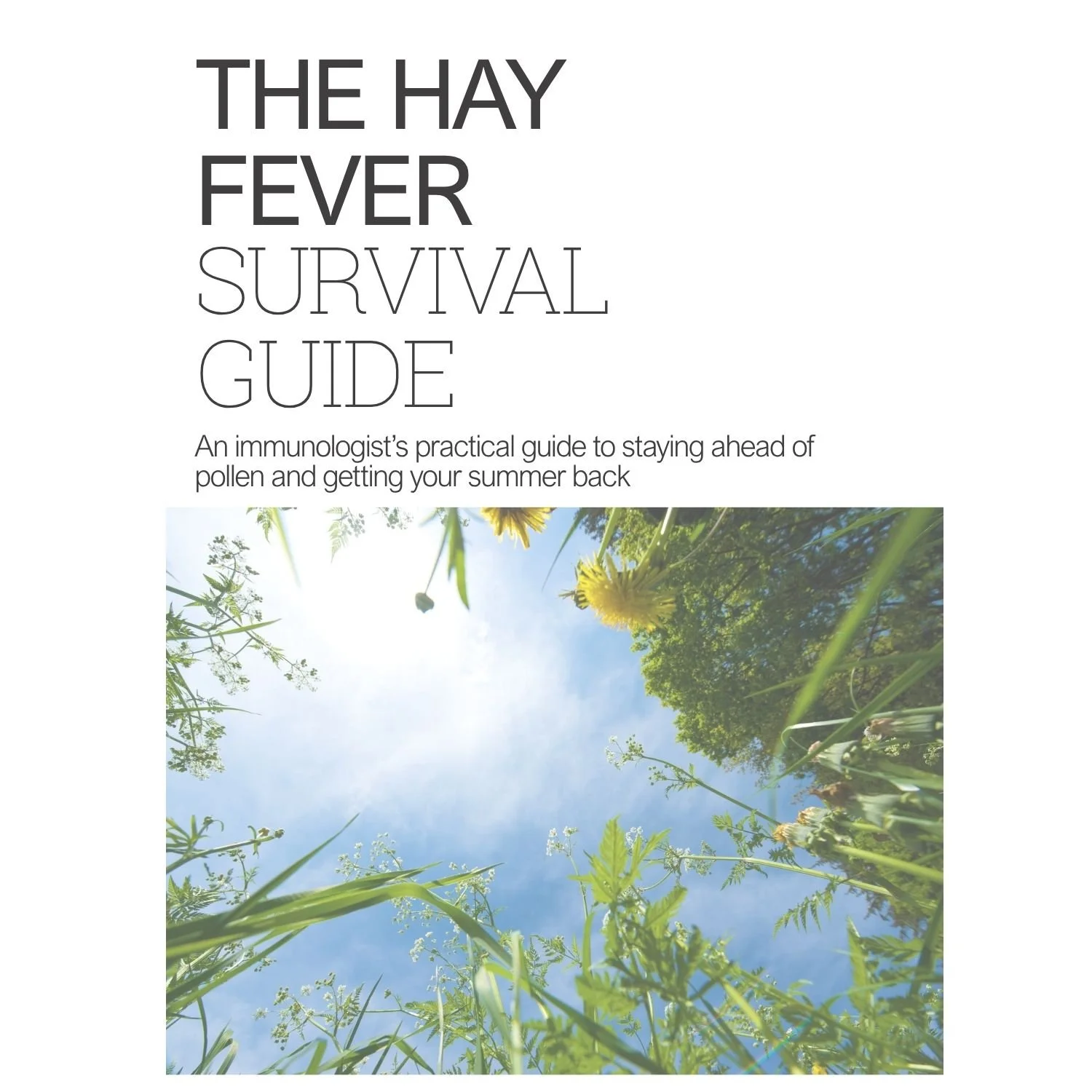 The Hay Fever Survival Guide