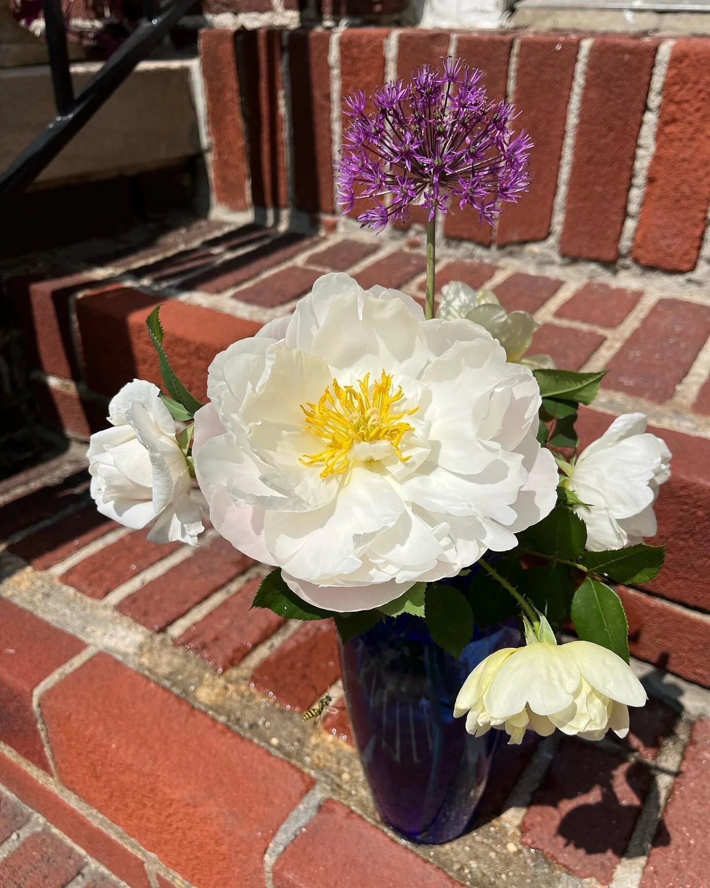 First of the peonies and roses bouquet as the front gardens turns to the beauty of its next seasonal blooming! #firstpeoniesoftheseason #whiteroses #urbanfaeriegarden #cocreatinghometogether #brooklyngarden