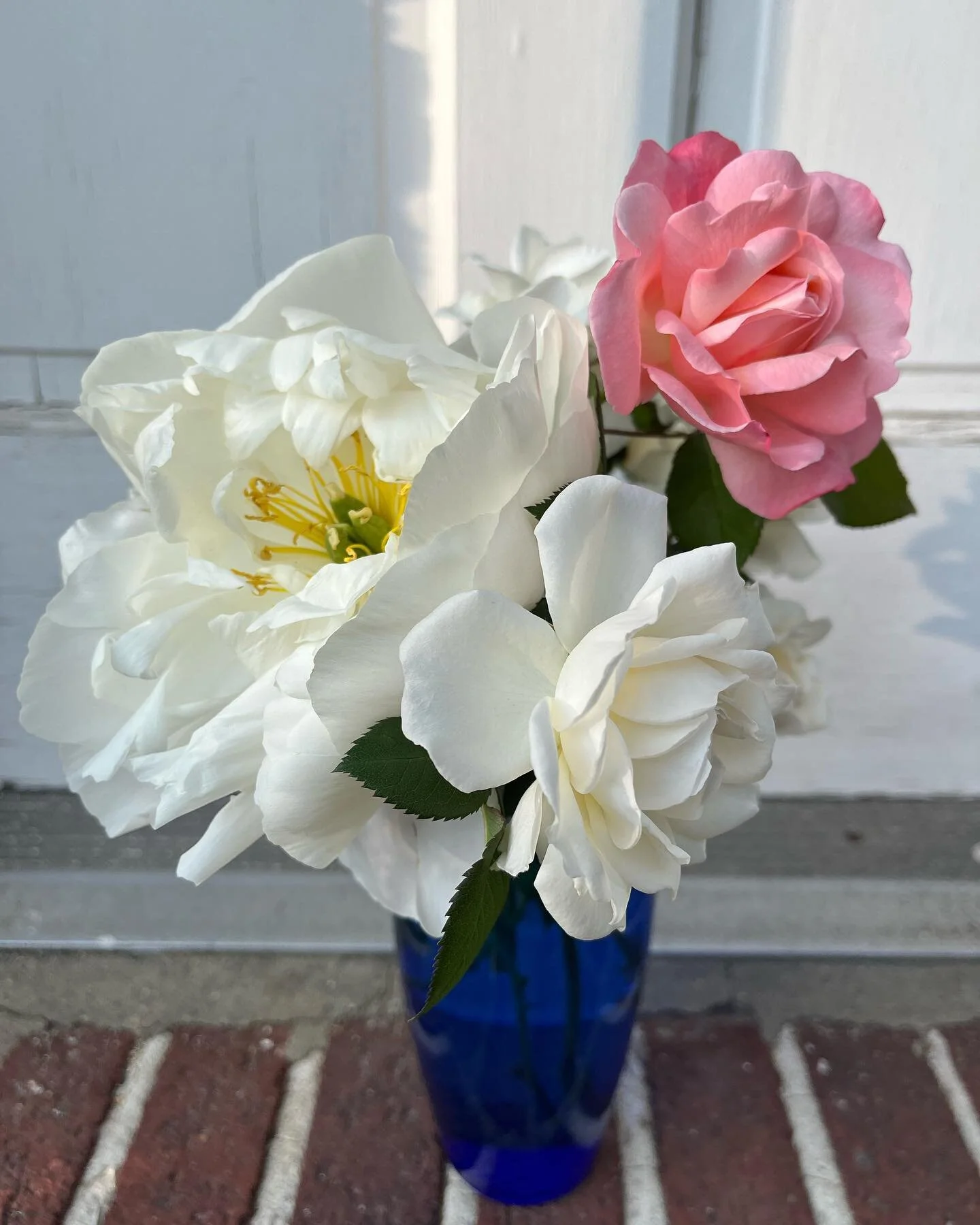 Back in Brooklyn, flowers from the garden, roses and peonies and another gorgeous iris #firstpeoniesoftheseason #whiteroses #iris #urbanfaeriegarden #cocreatinghometogether #brooklyngarden