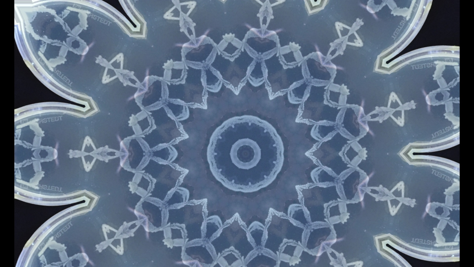 Jude Kaleidescope Final..._00001.jpg