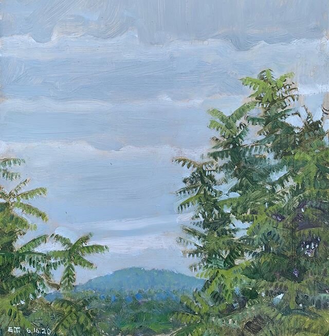 Observatory Hill Framed by Black Chestnut Trees.  9 by 9.  I finished this today just as the rain started.  I think it looks vaguely tropical/volcanic...