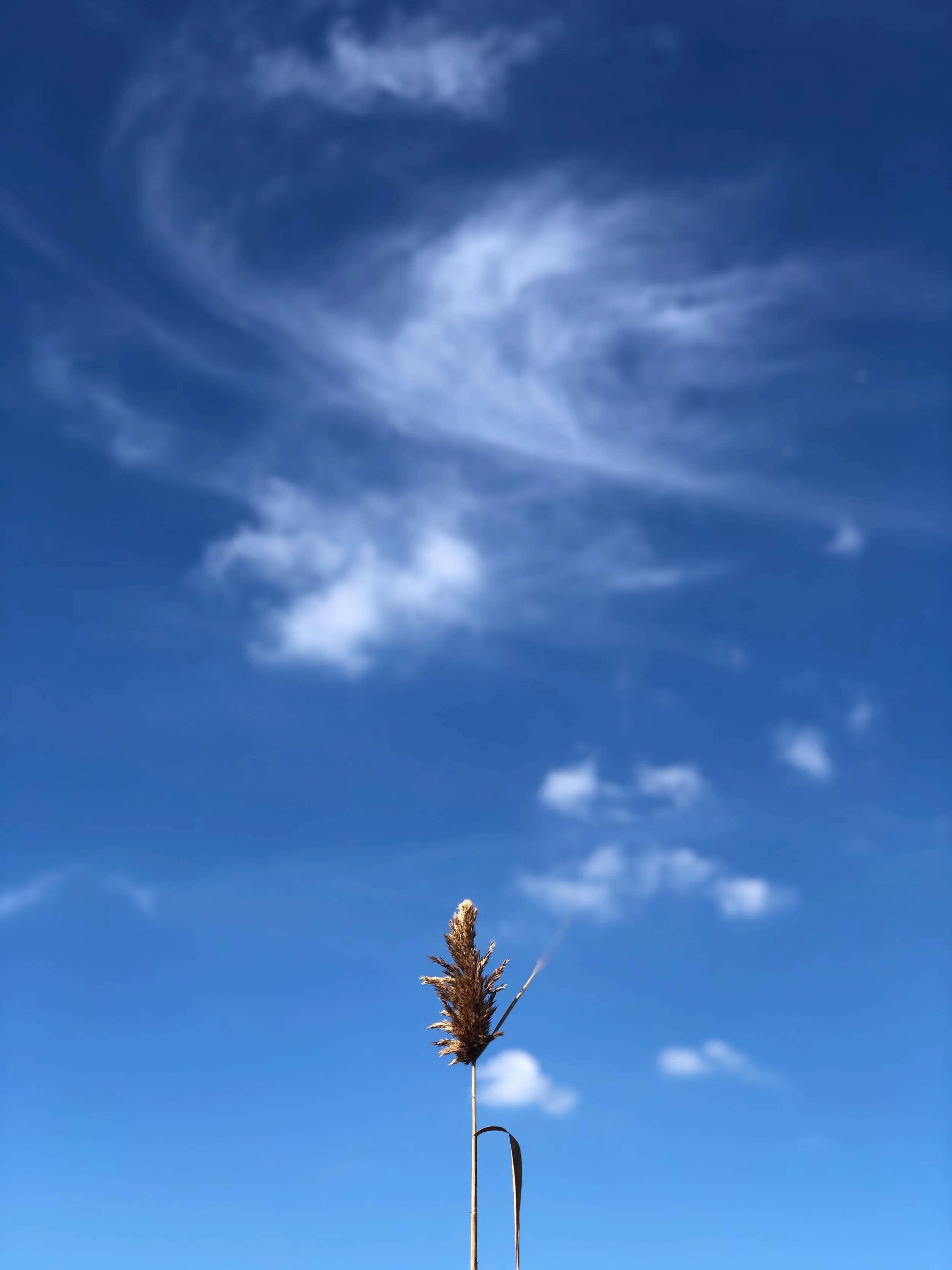 10-21-sommerville - 109.jpeg