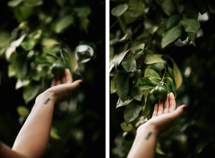 Collin + Jenni // Pregnancy Annoucement-Kandis Marino Photography©