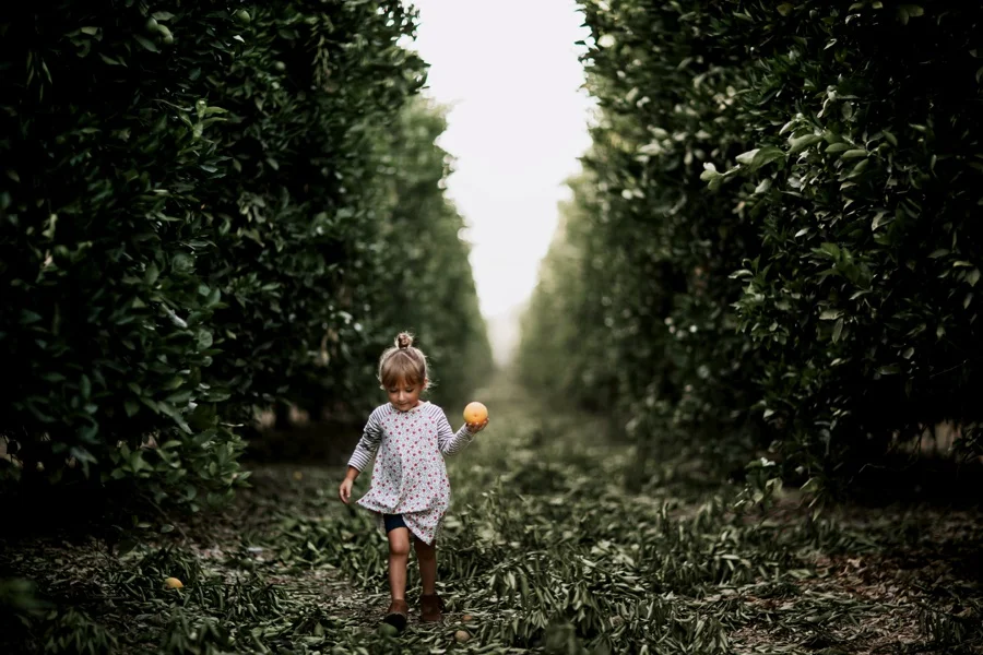 The Broguiere Girls // Orange Groves-Kandis Marino Photography©