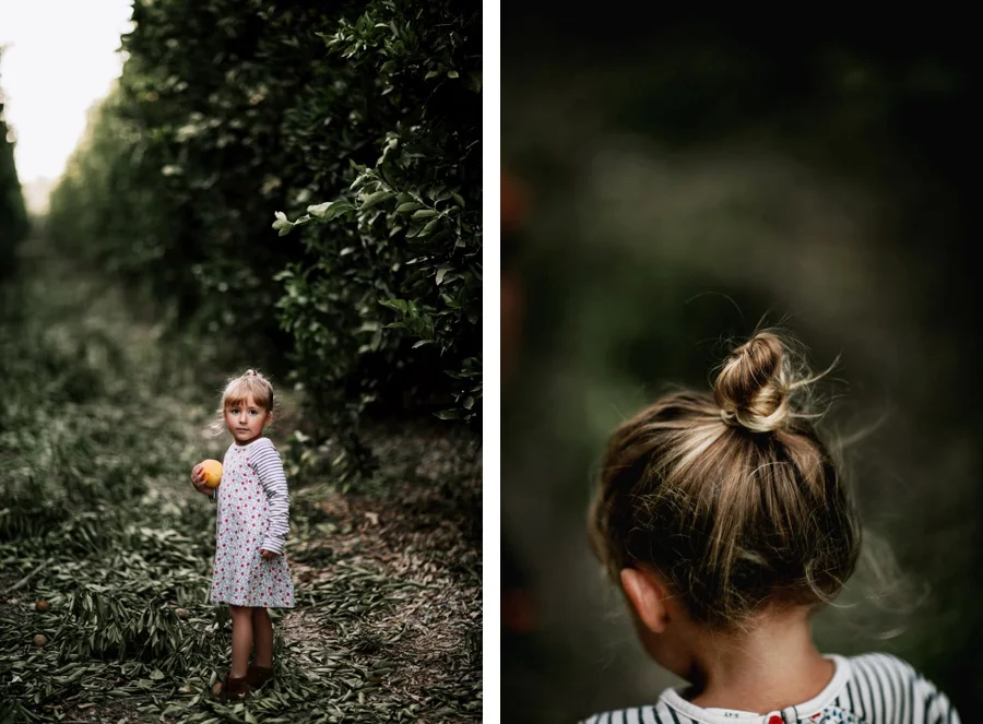 The Broguiere Girls // Orange Groves-Kandis Marino Photography©