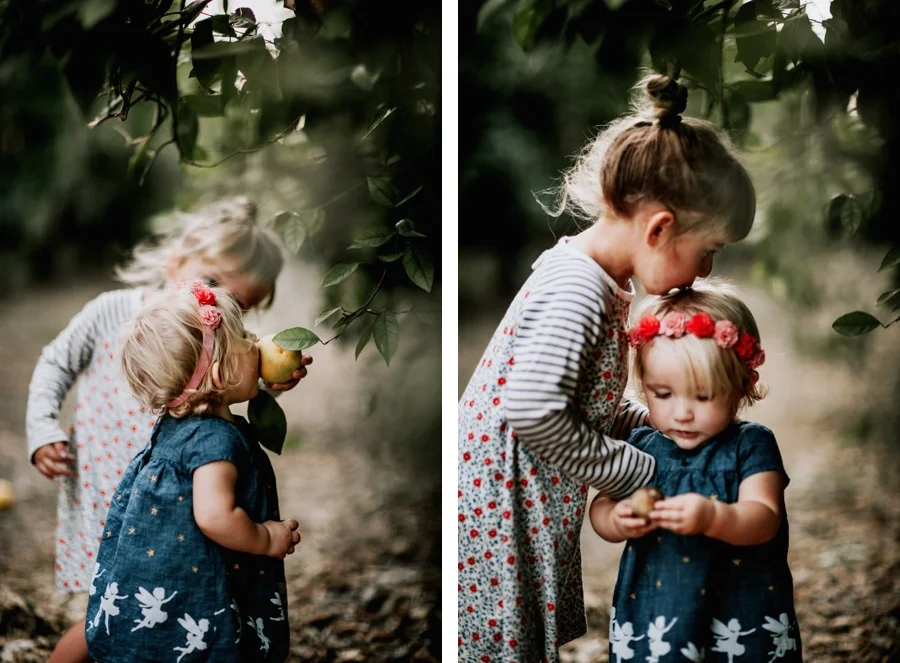 The Broguiere Girls // Orange Groves-Kandis Marino Photography©