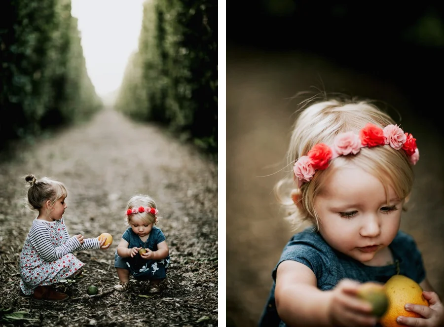 The Broguiere Girls // Orange Groves-Kandis Marino Photography©