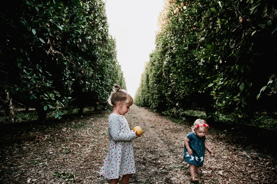 The Broguiere Girls // Orange Groves-Kandis Marino Photography©