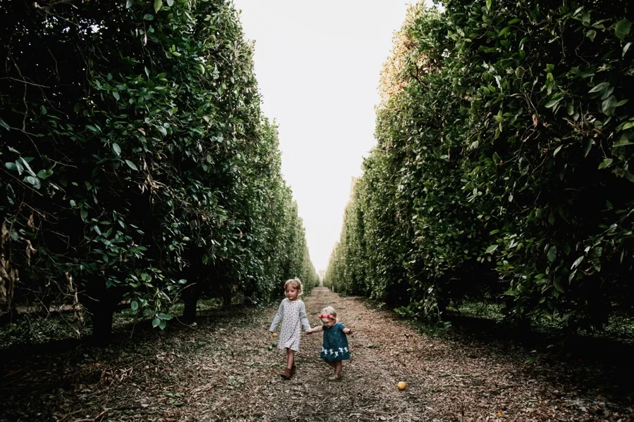 The Broguiere Girls // Orange Groves-Kandis Marino Photography©