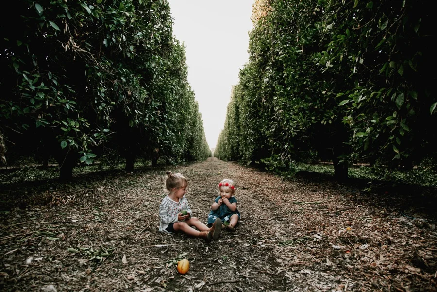 The Broguiere Girls // Orange Groves-Kandis Marino Photography©