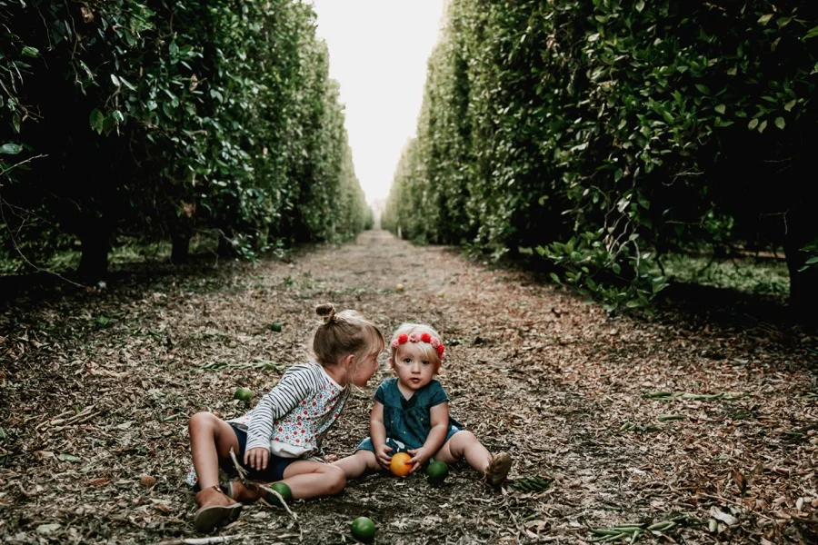 The Broguiere Girls // Orange Groves-Kandis Marino Photography©
