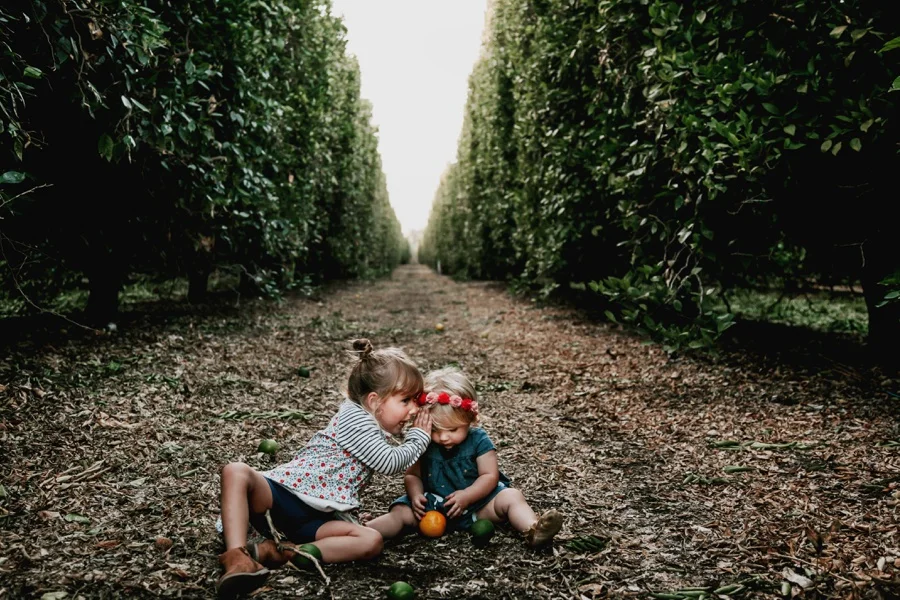 The Broguiere Girls // Orange Groves-Kandis Marino Photography©