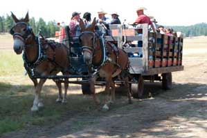 Maxville Townsite Tours