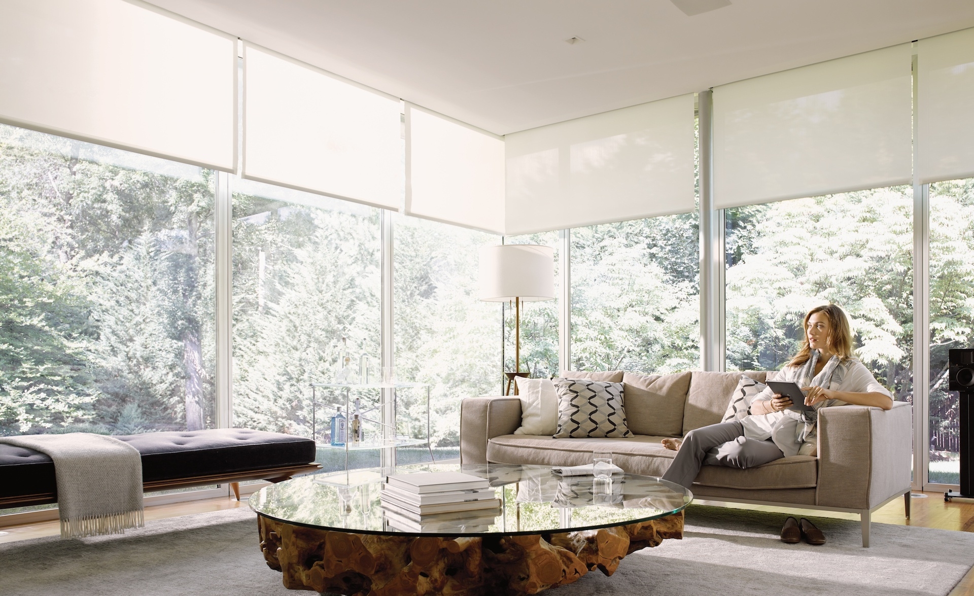 Window Treatments.jpg