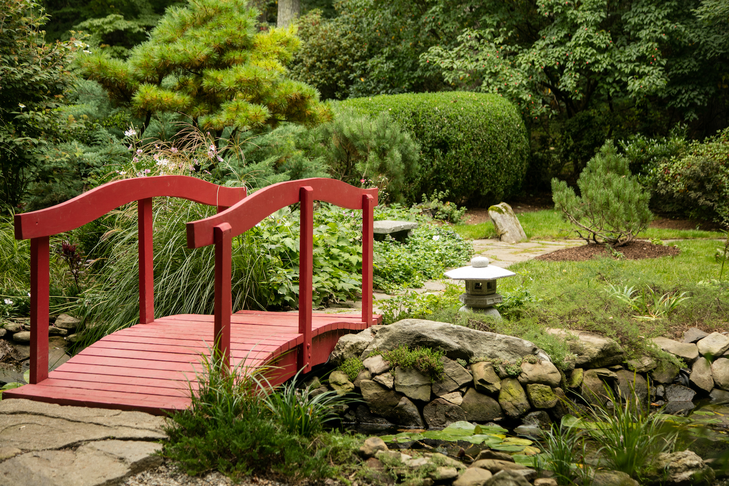 Asian Garden & Upper Stream