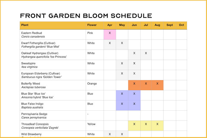 Bloom Schedule example