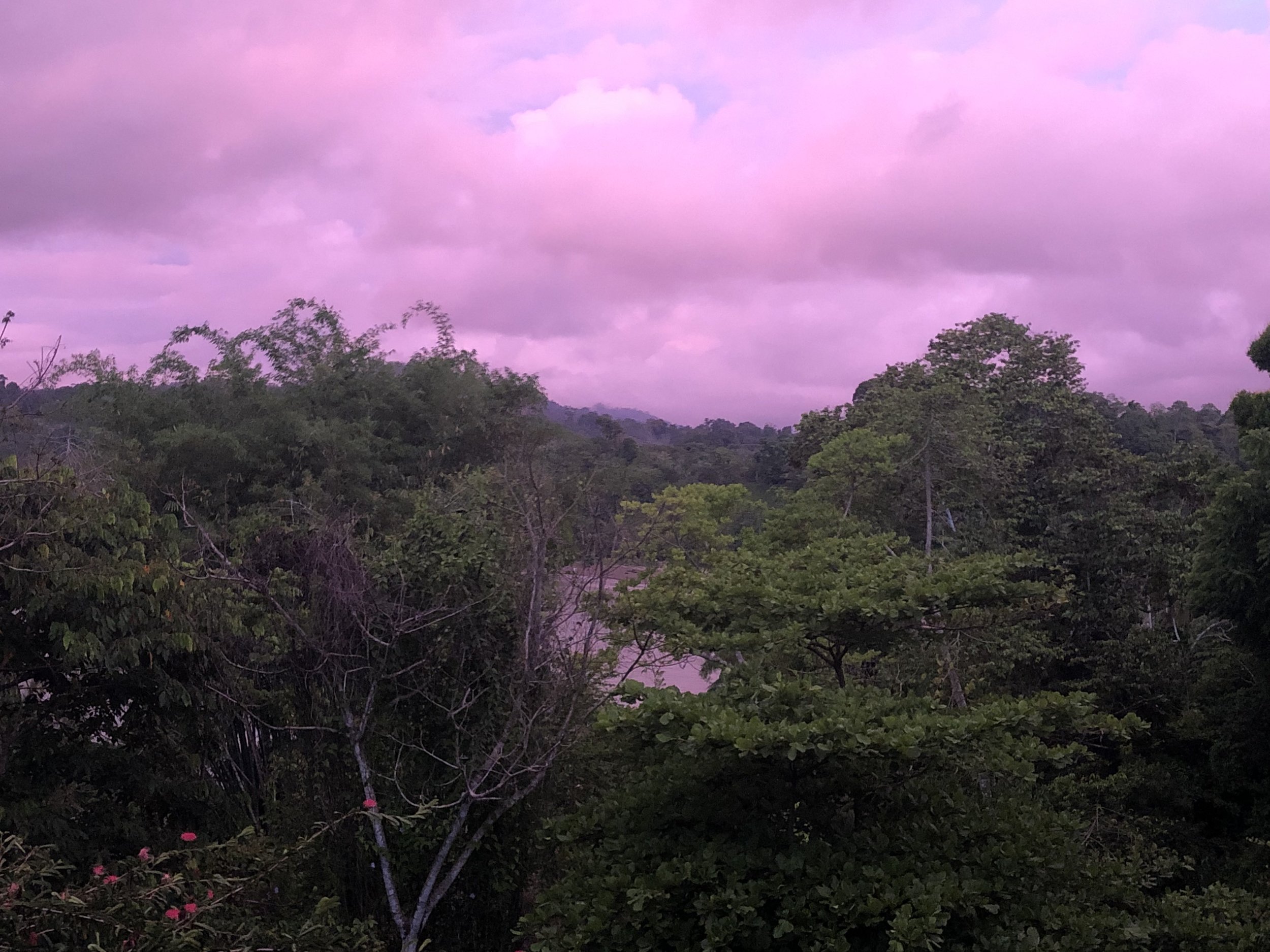 IMG_1169.jpeg