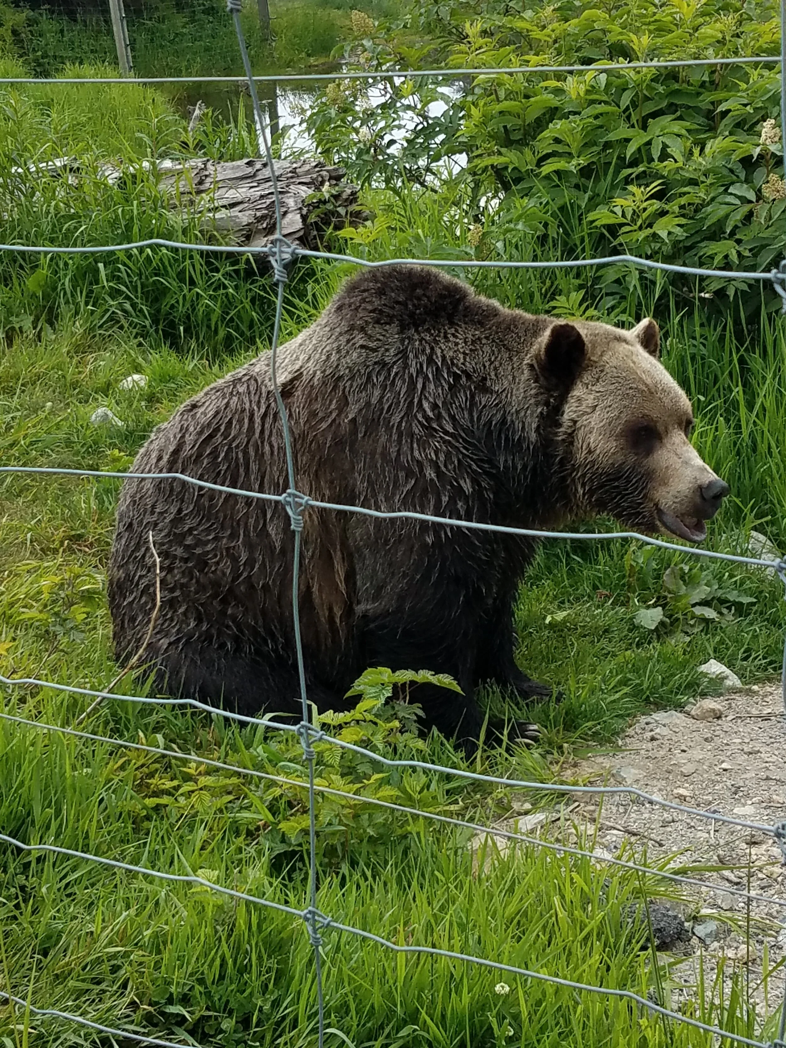 20190623_132319.jpg