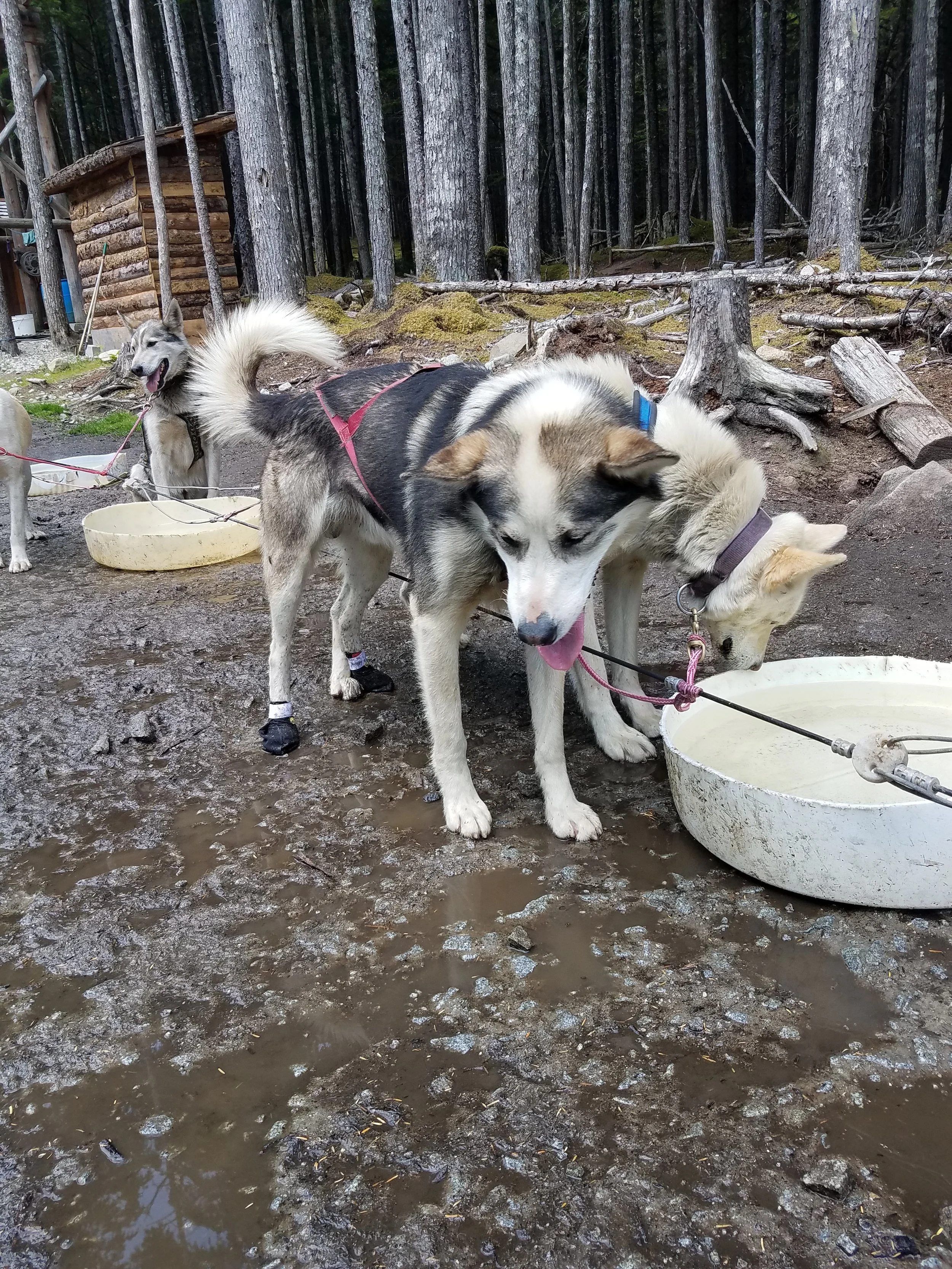 20190627_112952.jpg