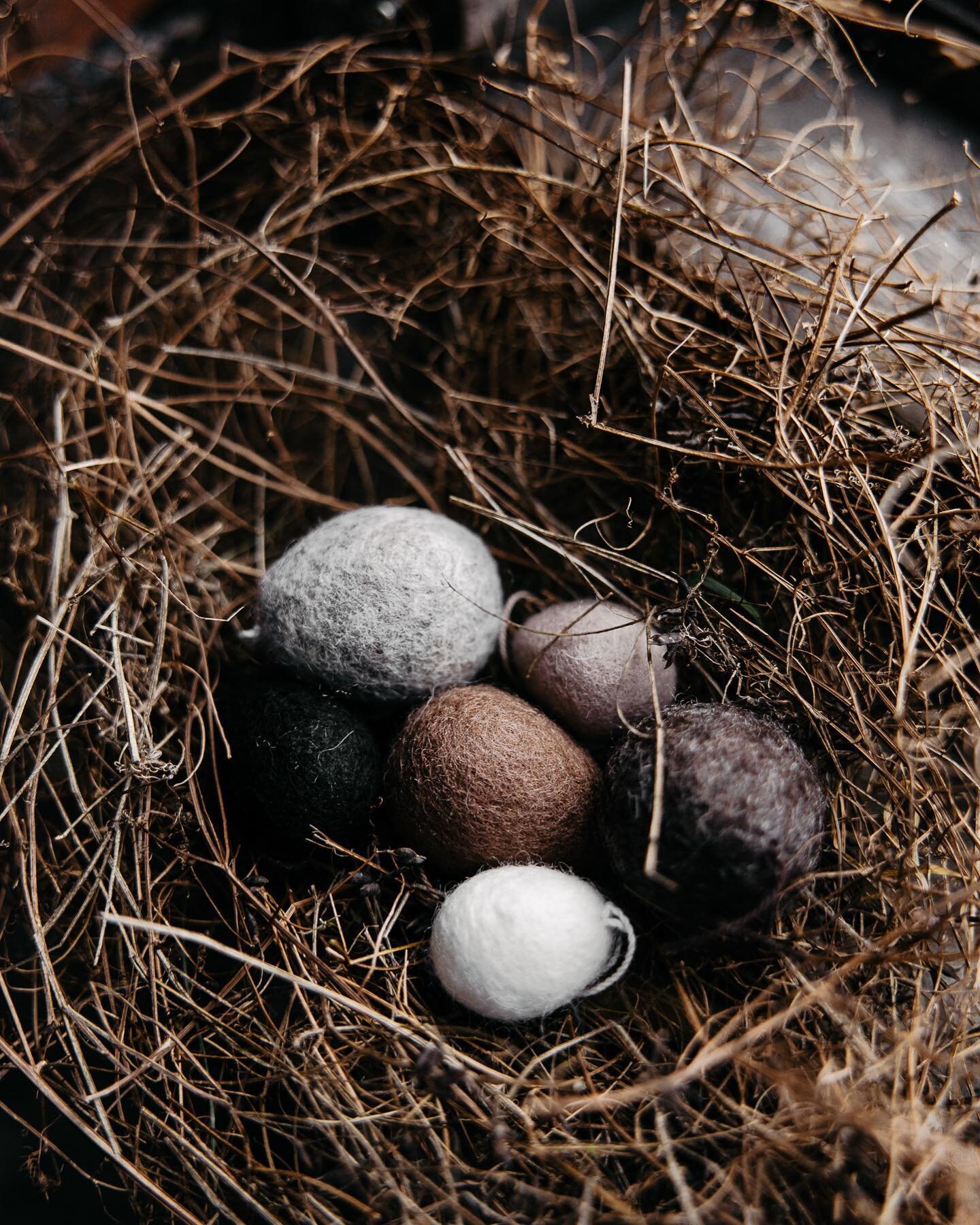 OPEN TODAY! Good Friday hours are 10-4 and tomorrow Saturday 10-4&hellip;. Don&rsquo;t forget @tokenfloral is here both days as well with some beautiful spring blooms! 
These sweet felted eggs are available in the shoppe!