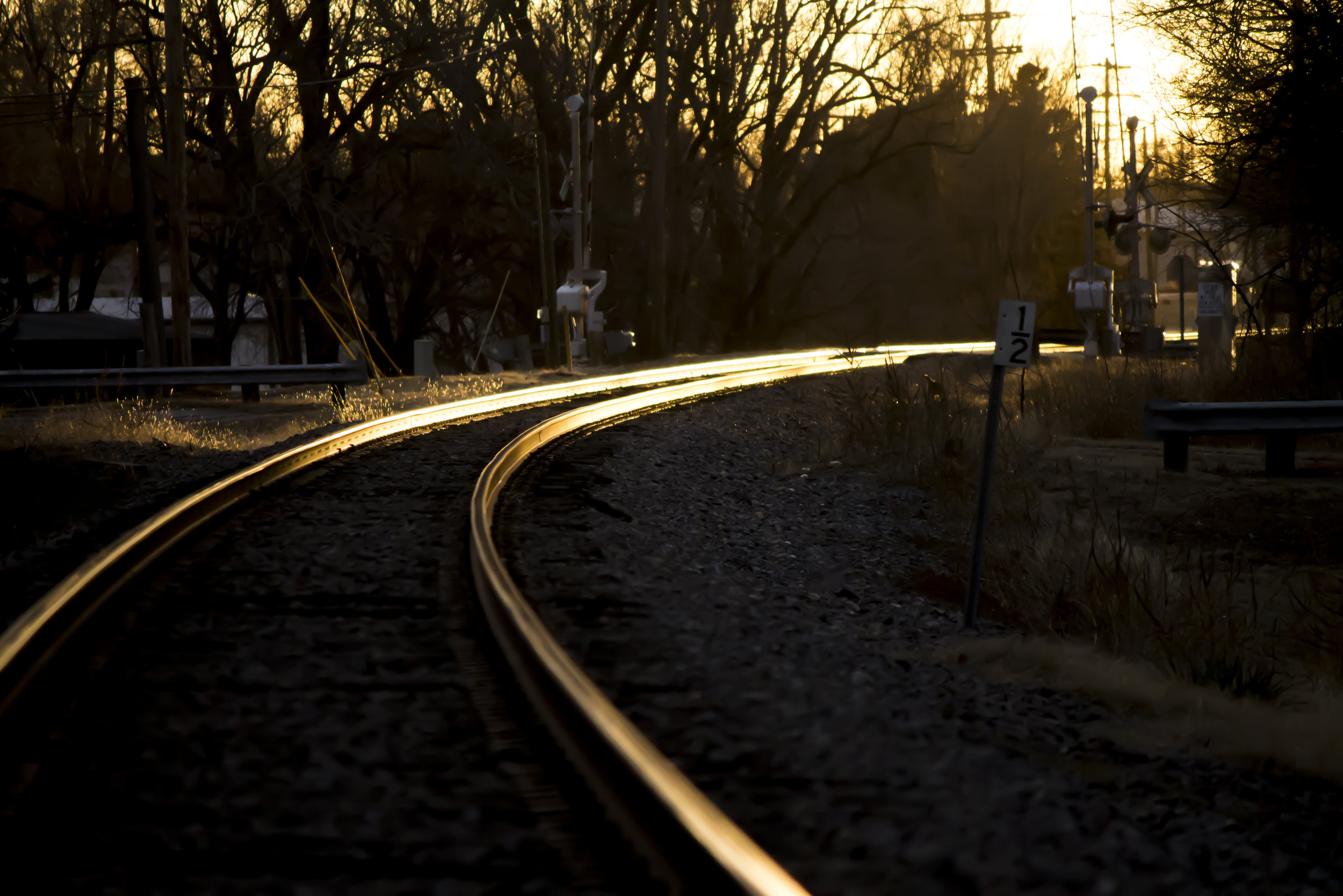 Golden Tracks.jpg
