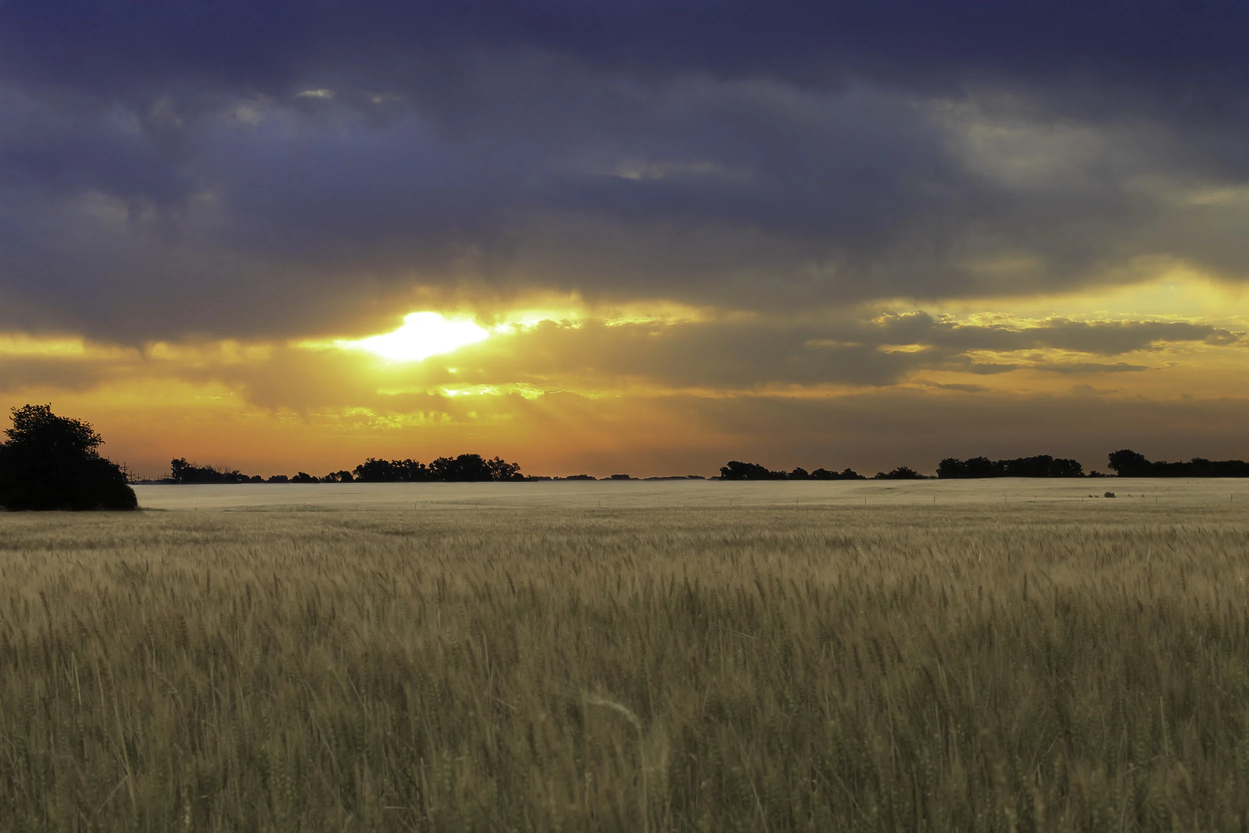 Kansas Sunrise.jpg