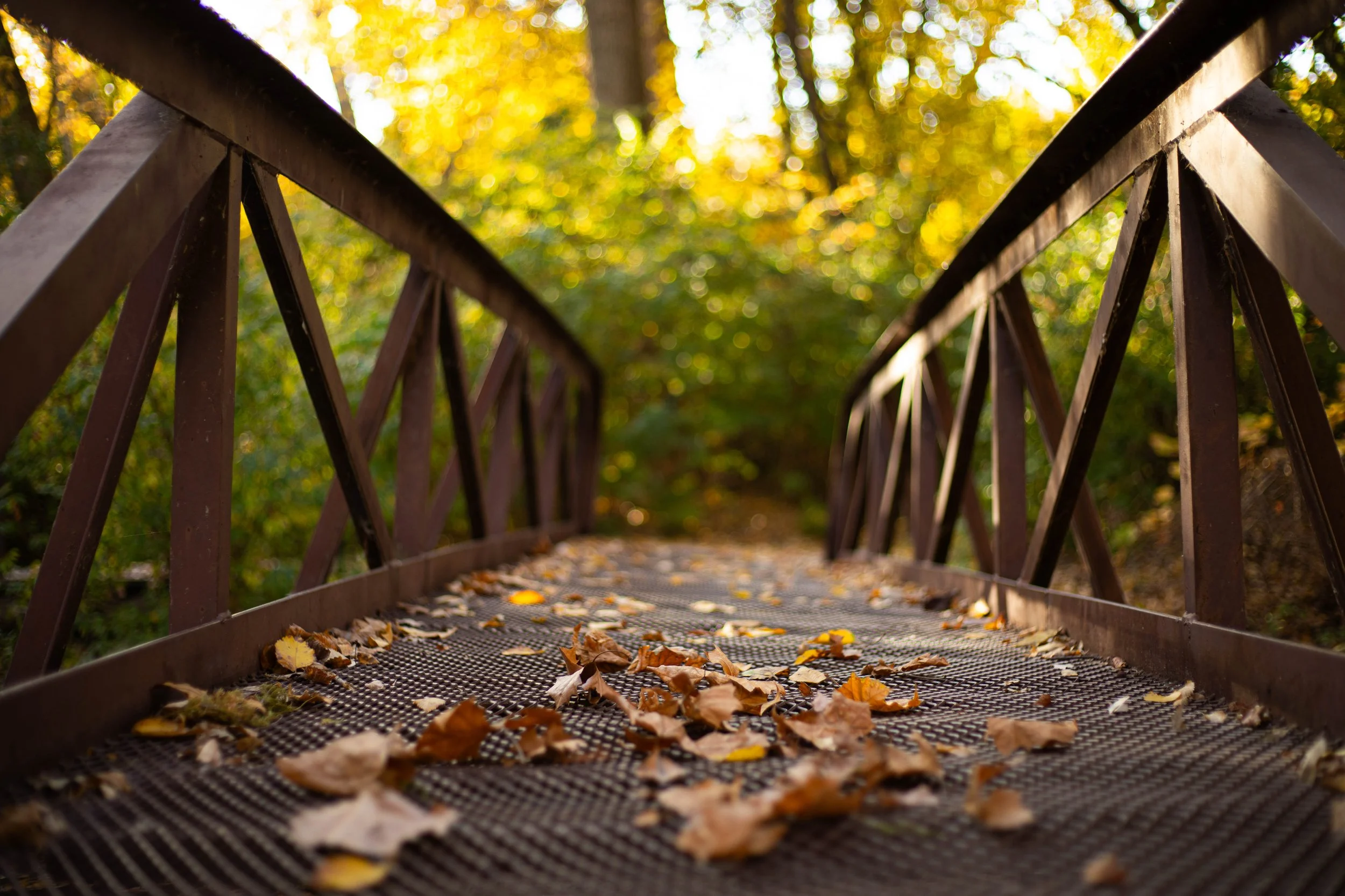 10-27-24Bridge-HighRes-1.jpg