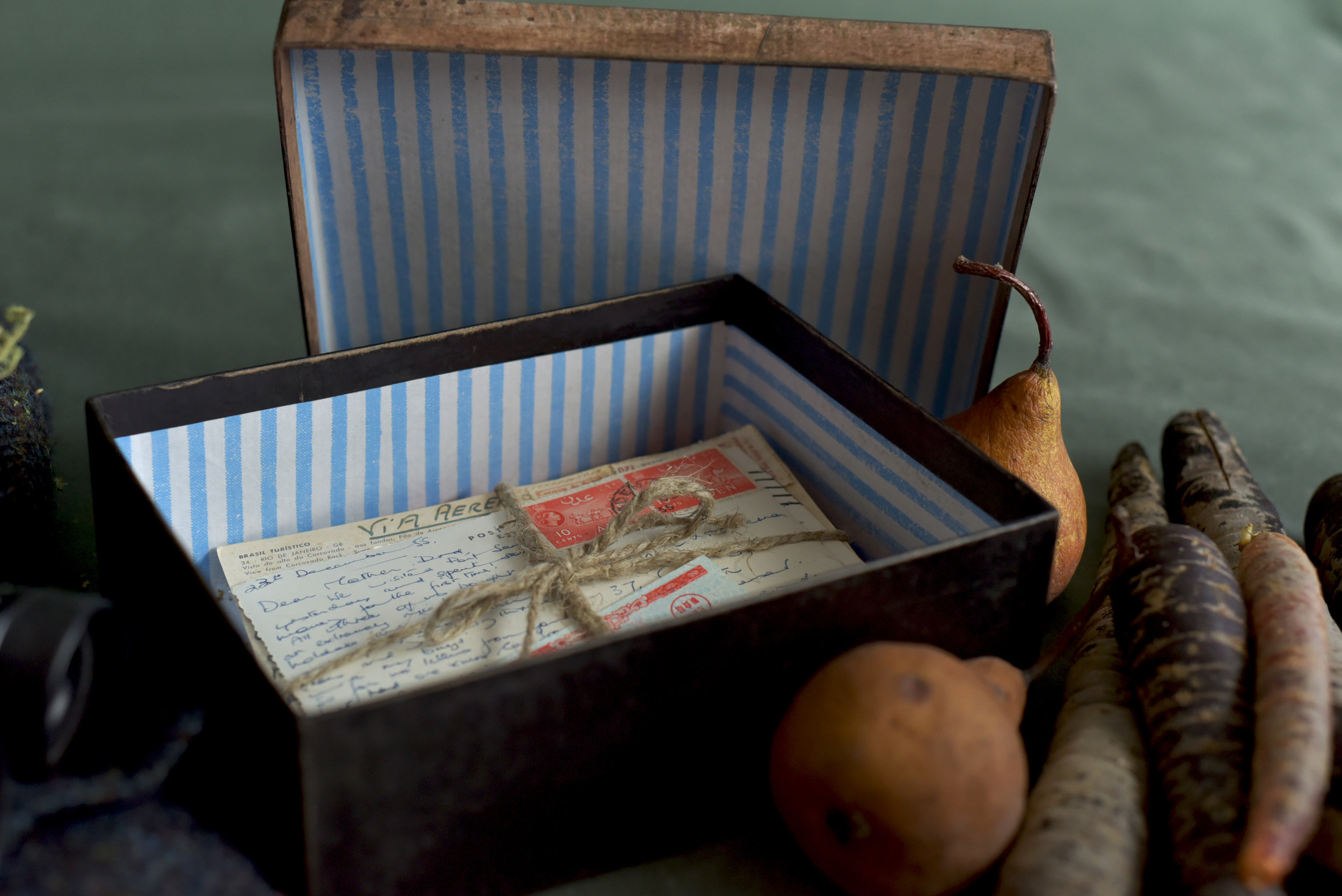 Horse Motif Box open_gallery.jpg