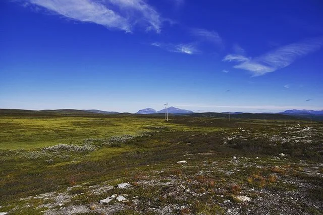 Because of the many wildfires we had to take a route through the mountains on our way back. It was several hours, mostly on gravel roads, until we reached this plateau close to the Norwegian border. The view was so spectactular that we stopped for ph