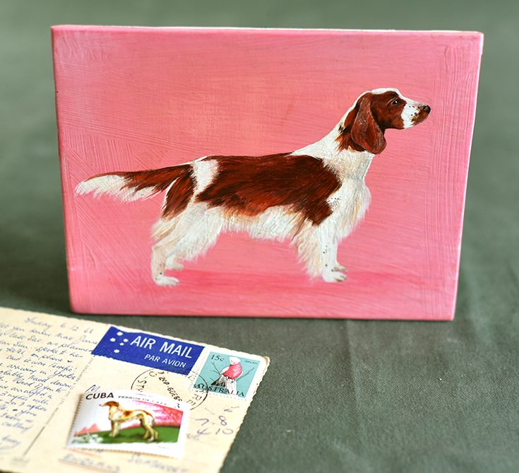 SpringerSpaniel2_web.png