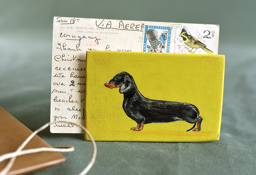 Dachshund1_web.png