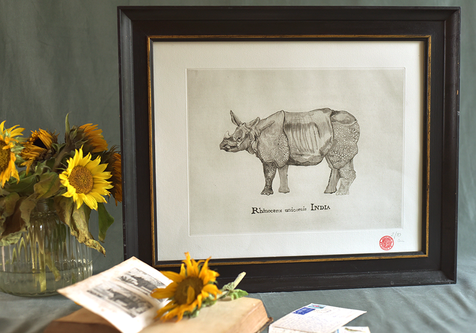 Rhinoceros1_web.png