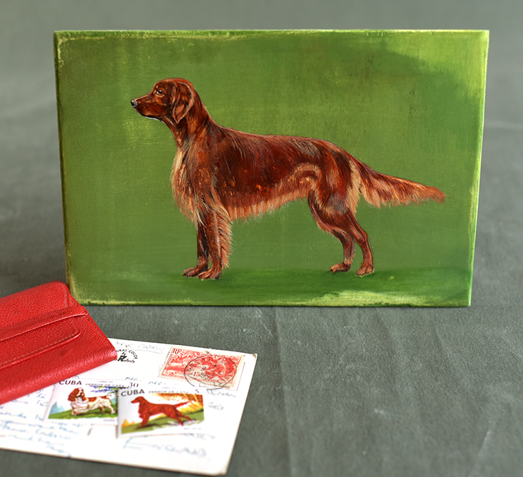 IrishSetter5_web.png