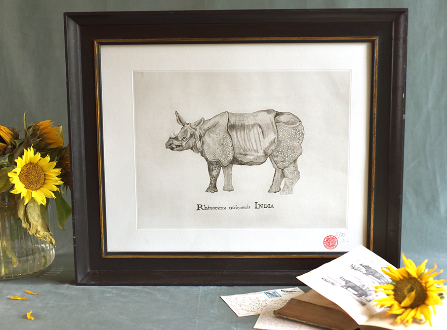 Rhinoceros2_web.png