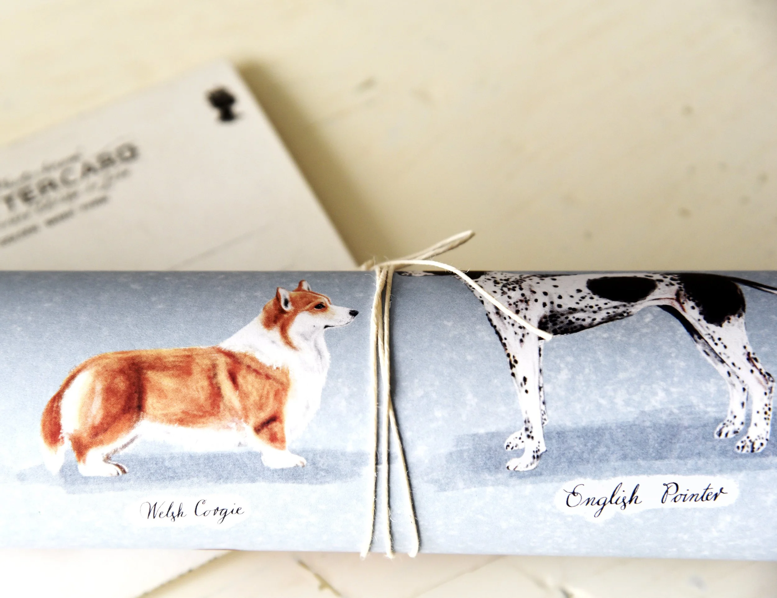 Dog Paper_Corgie Detail.jpg