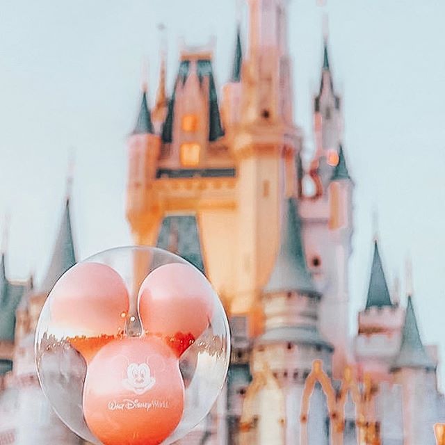 All the JOY as we are boarding our plane first thing tomorrow morning to go to the most magical place on earth!!✨❤️🐭
✨
Another all expenses paid trip from our partner company that we earned simply by sharing our nutrition with people and helping our