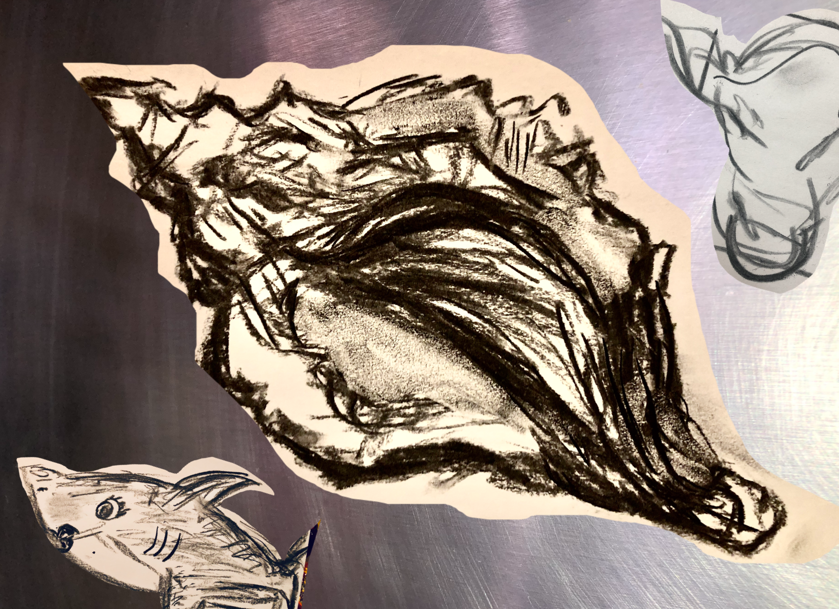 seashells and sharks.png