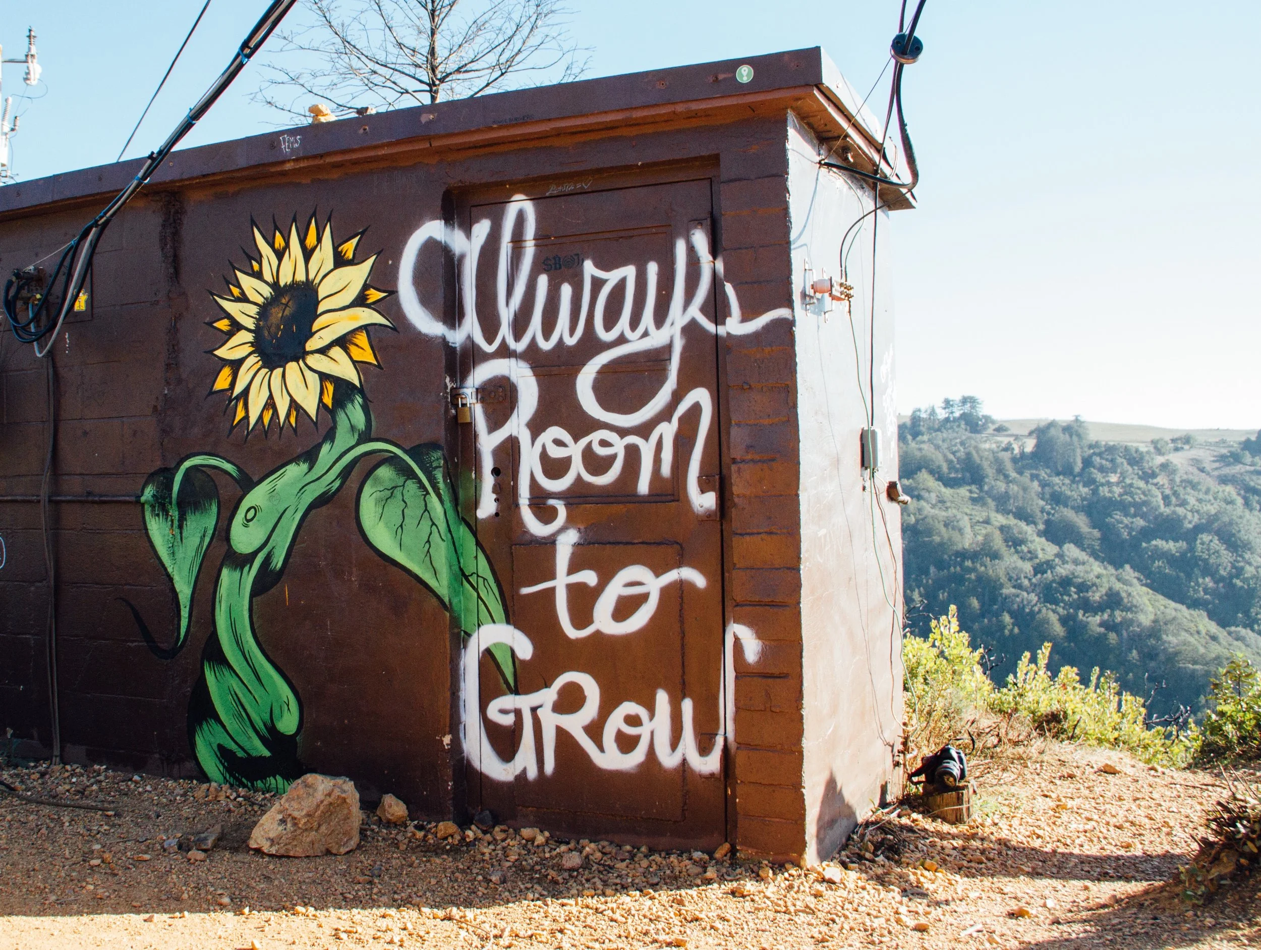 How to keep your TEAM meetings FRESH, interesting &amp; highly effective!