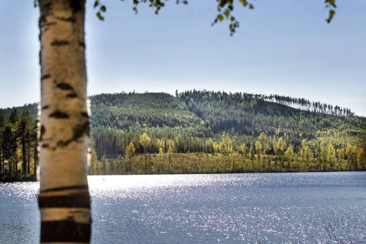 Australian Company Eyes 15,000 Acres to Mine Rare Metals; Activists Shocked
