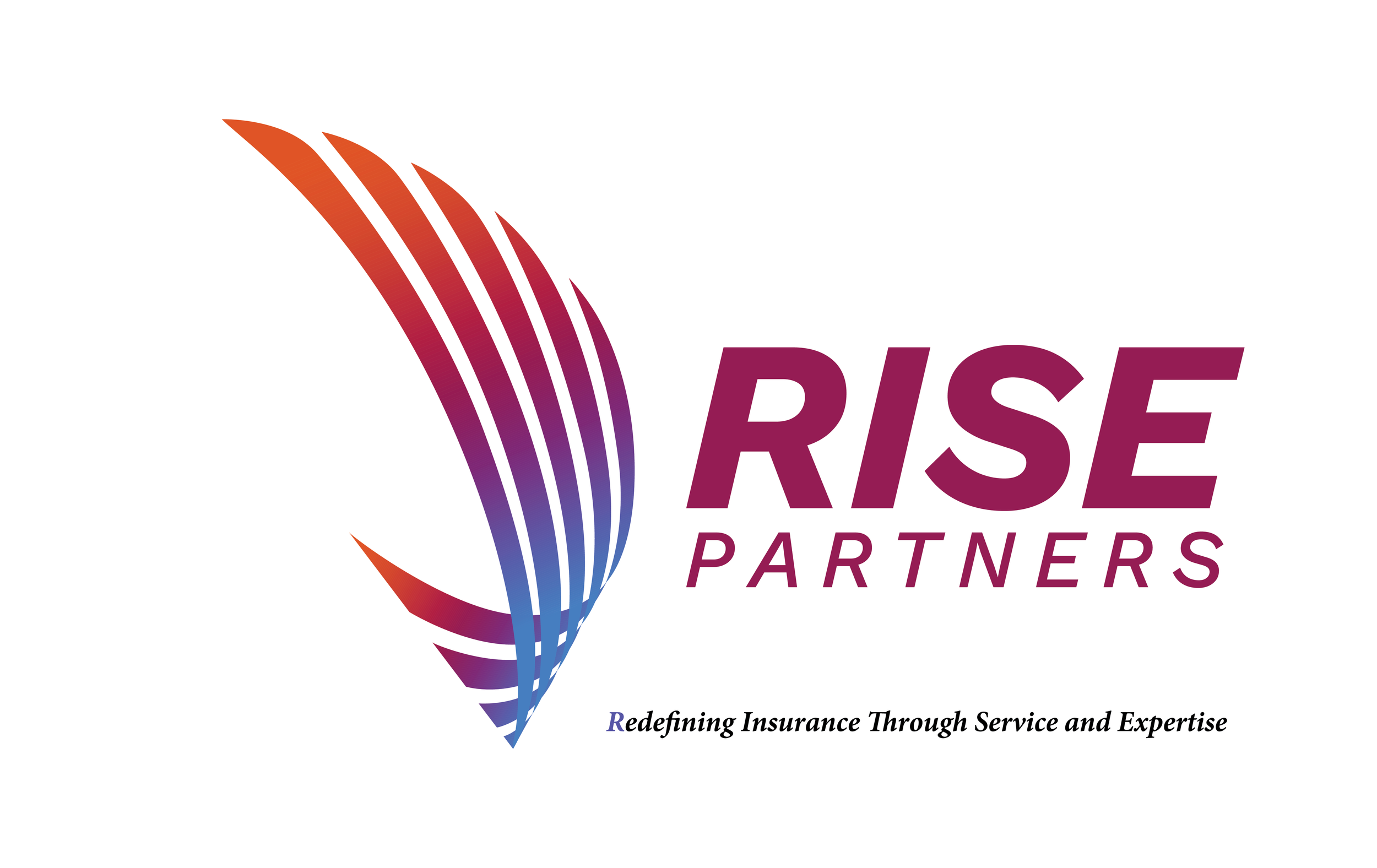 Rise-Partners_Logo.png