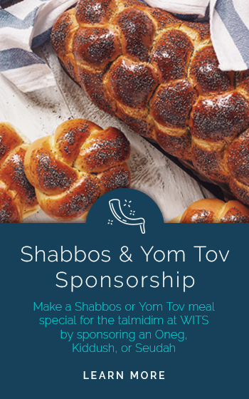 DonationBlocks_Shabbos_04.jpg