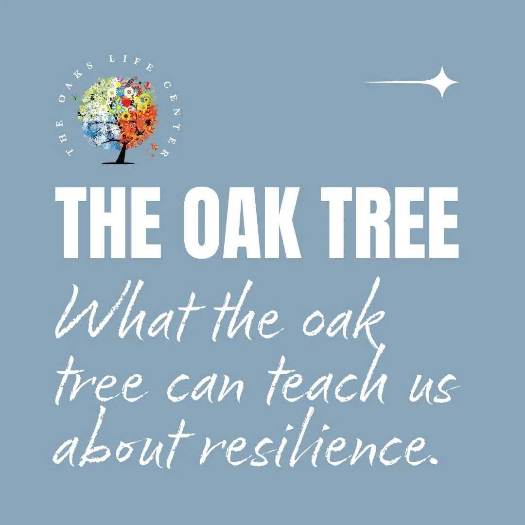 💫 The oak tree reminds us that strength is not built in comfort, but in weathering storms. Your resilience is growing, even if you can&rsquo;t see it yet. ⛈️🌳 Counseling can help. Our doors are always open! 

 #Resilience #RootedInStrength #Counsel