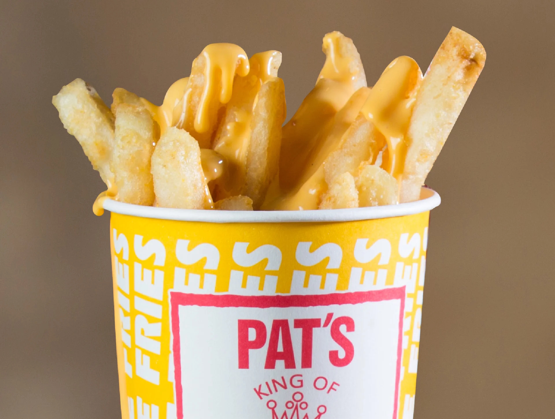 FRENCH FRIES or CHEESE FRIES