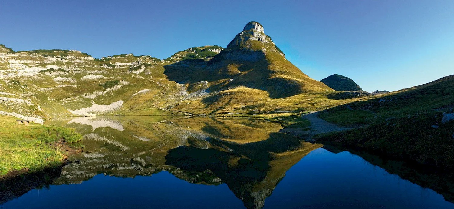 14.1500x690.jpg