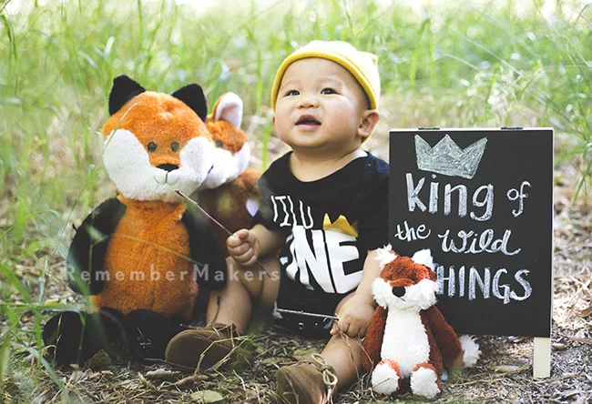 King of the Wild Things | A First Birthday Portrait Session Los Angeles